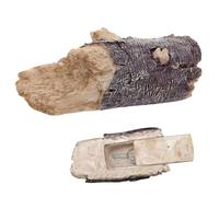 Cache-clés de Branche d'arbre réaliste, Cache extérieur en résine imperméable, Support caché sûr pour la géocachette de Jardin extérieur