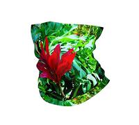 Cache-Cou Belle Fleur Tropicale Bandeaux Ultra-Douce Écharpe Tube Anti-UV Bande De Cheveux, pour Femme, Ski, Yoga, Moto, 26x30cm