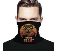 Cache-Cou Capybara, Ne T'Inquiète Pas, Sois Capybara Echarpe Gaiter Élastique Écharpe Ultra-Douce Chapeaux Demi-Visage, pour Adulte, Sports, Course À Pied, Ski, 26x30cm