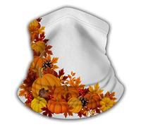 Cache-Cou Citrouilles Feuilles Coin Automne Thanksgiving Bordure Automne Gourde Novembre Balaclava Écharpe Demi-Visage Élastique Bandana Tubulaire pour Yoga Moto Course À Pied 25X50 Cm