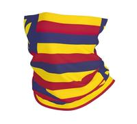 Cache-cou coupe-vent imprimé drapeau du royaume d'Hawaï, écharpe chaude, masque demi-visage respirant, masque de ski unisexe pour l'extérieur