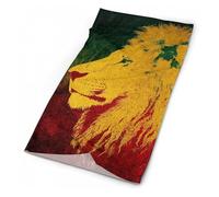 Cache-Cou Jamaica Rasta Lion Flag Bandana Tubulaire Élastique Echarpe Gaiter Multi-Usage Cache Cou Elastique pour Course À Pied Moto Yoga 25X50 Cm