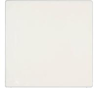 Cache Jung LS 994 B WW blanc-alpin