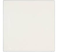 Cache Jung LS 994 B WW blanc-alpin