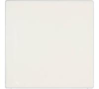 Centre plate LS994BWW