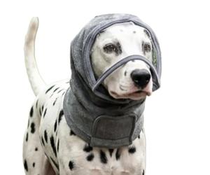Cache-oreilles pour chien chat bande apaisante soins auditifs | Protection d'oreille anti-bruit pour chien réglable pour petit avion de race moyenne pour chiot bruit fort orage