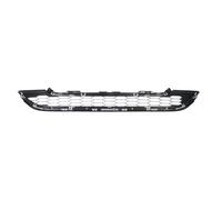 BLIC 6502-07-2957911P Grille de ventilation, pare-chocs