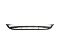 BLIC 6509-01-2565911P Grille de ventilation, pare-chocs