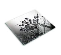 Cache Plaque De Cuisine verre Planche rectangulaire, verre trempé Pissenlits et rosée 60x52 cm