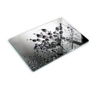 Cache Plaque De Cuisine verre Planche rectangulaire, verre trempé Pissenlits et rosée 80x52 cm