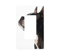 Cache-plaque murale Boston Terrier noir et blanc, plaques murales sans vis, taille standard 11,7 x 7,1 cm, cache-prise pour interrupteur décoratif, polycarbonate thermoplastique
