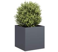 Cache-pot de jardin d'extérieur rectangulaire moderne Boîte à plantes vidaXL vid