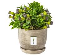 botle Pot de fleurs en céramique peint à la main D 130 mm béton gris foncé en céramique avec soucoupe trou d'évacuation d'eau