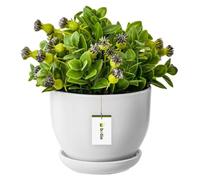 Cache-Pot En Céramique Pot De Fleur Peint À La Main D 160 Mm En Céramique Blanche Avec Soucoupe Trou De Drainage De L'eau Multicolore