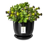botle Pot de fleurs en céramique peint à la main Noir Diamètre 305 mm Avec soucoupe Trou d'évacuation de l'eau