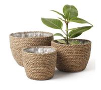 Cache-pot en jonc de mer - Lot de 3 tailles - Jonc de mer naturel - Tressé à la main