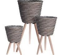 Cache-pot en osier Trey, ensemble de 3