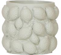Cache-pot "Fruits coquins" - Vert - Lime - adapté aux pots de plantes de 9cm