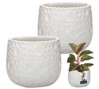 KOTARBAU Lot de 2 pots de fleurs ronds en céramique, diamètre : 12 cm, hauteur : 12,5 cm, blanc, cache-pot pour plantes d'intérieur