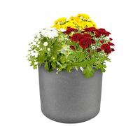 Cache-Pot "Kubus" Extérieur Ø39Cm H33Cm Pot De Fleurs Gris Avec Roues