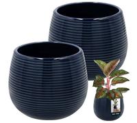 Cache-pot / pot de fleurs - KOTARBAU - Lot de 2 - Bleu cobalt - Céramique émaillée - Ø 12 cm