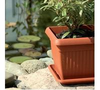 Cache-Pot Prosperplast Support Pour Pot De Fleurs En Terre Cuite Terra Pkwt41 Multicolore