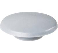 Cache Ribe Käpi pour vis à 6 pans creux TOOLCRAFT 889679 h/tmax/s // Matière plastique M5