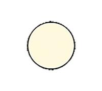 Cache vis bois aggloméré ivoire adhésif boîte de 100 - - 800058