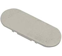 Cache vis d'origine Frigo, Réfrigérateur, Congélateur 00417890, 417890 BOSCH