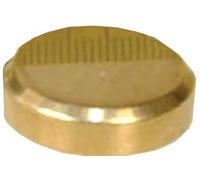 Cache vis plat diamètre 16mm laiton poli boîte de 10 - GUITEL - 9020D16S10