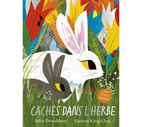 Cachés dans l'herbe : un livre animé - Album jeunesse à flaps - À partir de 4 ans