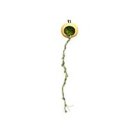 Cachette d'araignée sauteuse - Abri magnétique pour petits animaux de compagnie | Accessoires pour reptiles pour arthropodes, mille-pattes, geckos, geckos à crête, tarentules et autres mini créatures