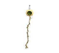 Cachette d'araignée sauteuse - Abri magnétique pour petits animaux de compagnie | Accessoires pour reptiles pour arthropodes, mille-pattes, geckos, geckos à crête, tarentules et autres mini créatures