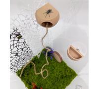 Cachette d'araignée sauteuse avec aimants et gamelle - Accessoires pour animaux domestiques - Cachette pour habitat d'araignée (beige) (terrarium non inclus)
