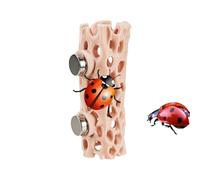 Cachette de terrarium d'araignée sauteuse - mini terrarium irrégulier créatif avec tunnel, assemblage magnétique, habitat sûr pour les petits reptiles et arachnides, facile à installer, facile à entre