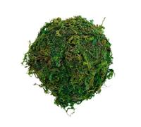 Cachette Grotte pour Hamster et Gecko, Coque Naturelle Verte Stable | Résistante aux Taches, Décor pour Terrarium, Abri Discret pour Cage de Hamster, Usage Hobby