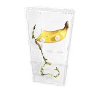 Cachette magnétique pour araignées sauteuses, avec motif fruit, pour sauterelles, herbes, herbes, tortues, dragons, barbus, Halloween