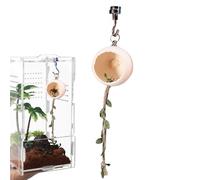 Cachette pour Araignée Sauteuse,Accessoire De Distributeur De Nourriture - Décor pour Terrarium D'Araignées Sauteuses,Destiné Aux Scorpions D'Intérieur Bernard-Petits Animaux Et Animaux De