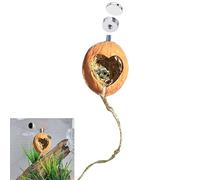 Cachette pour araignées sauteuses - Enclos en noyer avec magnétisme - Accessoires inclus