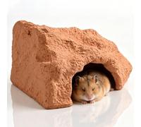 Cachette Rustique en Terre Cuite avec Coquille De Noix De Coco Et Grotte Rocheuse, Grotte Rafraîchissante for Petits Animaux, Abri Naturel for Tortues, Lézards, Hamsters(L)
