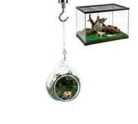 Cachettes Magnétiques Araignées Habitat Hamac De Repos Magnétique Naturel | Cachettes Araignées Arboricoles Pour Terrarium Habitat Grenouilles Lézards Tortues Zoo Intérieur Extérieur