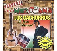 Cachorros De Juan Villareal - Norteno a La Mexicana