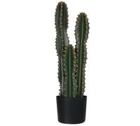Outsunny Cactus Artificiel Grand réalisme Plante Artificielle Grande Taille dim. Ø 17 x 60H cm Vert