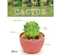 Cactus Collectif (Auteur)