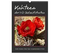 Cactus des États du Sud-Ouest des États-Unis, Version française (Calendrier mural 2026 DIN A3 portrait), Calendrier CALVENDO mensuel