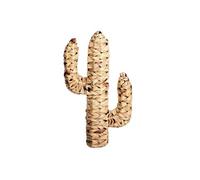 - Cactus en jacinthe d'eau tressée Natural Living - H. 45 cm - Marron - Natural Living