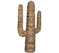 Atmosphera - Cactus Hacienda - Jacinthe d'eau H75 cm