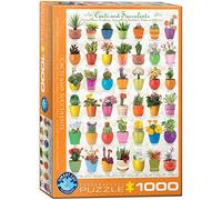 Cactus et Plantes succulentes