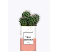 Cactus Facile à Entretenir - Viens on sème