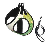 Cactus figuier de Barbarie,Harnais pour Animaux de Compagnie, Harnais réfléchissant réglable pour Chien,M